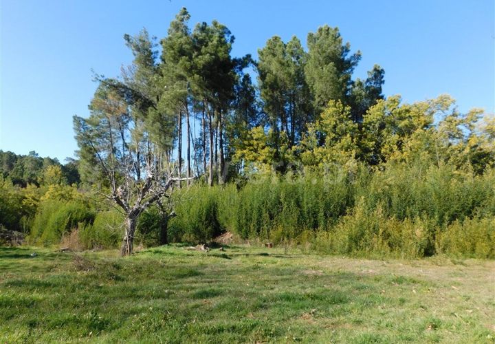 Helårsgrund i Fundao, Castelo Branco, Fundao - € 16.500 | Ref: 255220014 - foto 1