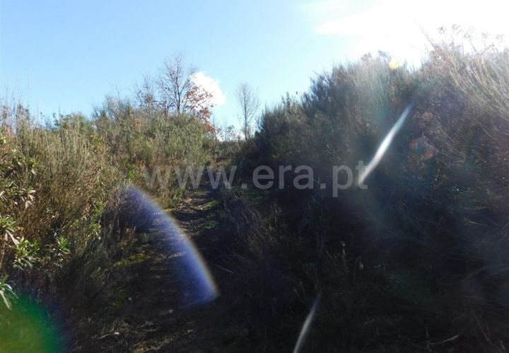Tomt i Fundao, Castelo Branco, Fundao - € 7 000 | Ref: 255240002 - foto 1