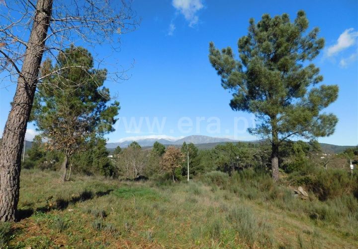 Helårsgrund i Fundao, Castelo Branco, Fundao - € 15.000 | Ref: 255240003 - foto 1