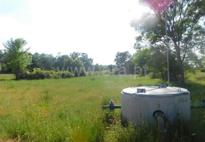 Tomt i Fundao, Castelo Branco, Fundao - € 17 500 | Ref: 255180121 - foto 1