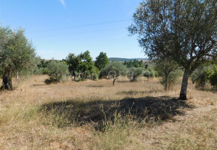 Helårsgrund i Fundao, Castelo Branco, Fundao - € 22.000 | Ref: 255190232 - foto 1