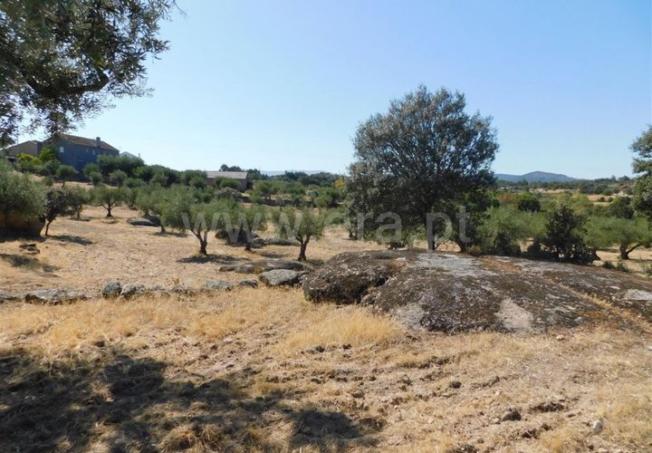 Tomt i Fundao, Castelo Branco, Fundao - € 25 000 | Ref: 255190233 - foto 1