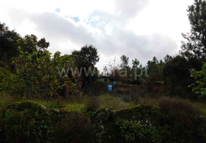 Helårsgrund i Fundao, Castelo Branco, Fundao - € 32.500 | Ref: 255230224 - foto 1