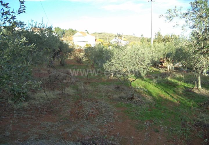 Tomt i Fundao, Castelo Branco, Fundao - € 27 500 | Ref: 255170291 - foto 1