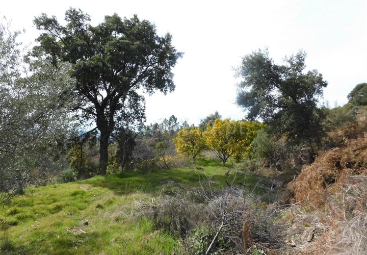 Farm i Fundao, Castelo Branco, Fundao - € 29.500 | Ref: 255180037 - foto 1