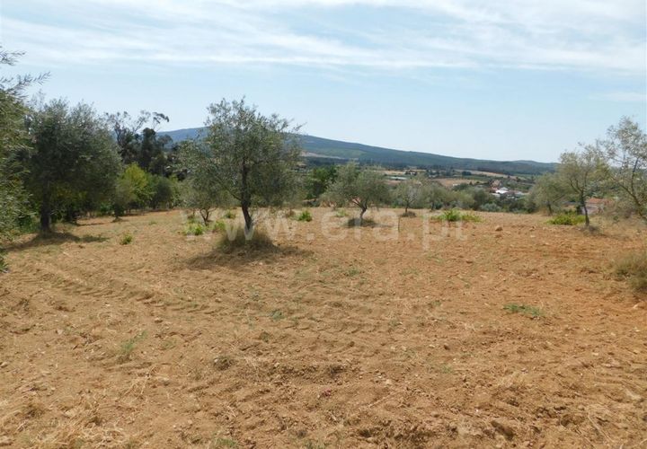 Helårsgrund i Fundao, Castelo Branco, Fundao - € 25.000 | Ref: 255190185 - foto 1