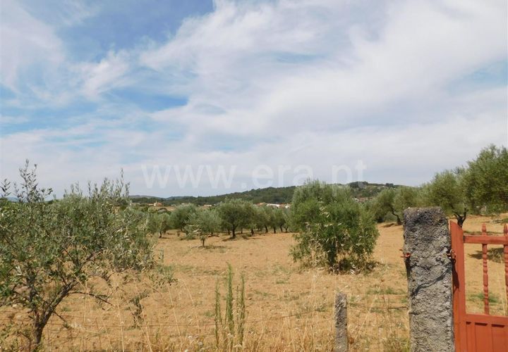 Helårsgrund i Fundao, Castelo Branco, Fundao - € 50.000 | Ref: 255190187 - foto 1