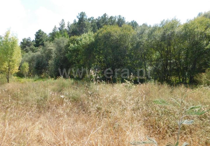 Helårsgrund i Fundao, Castelo Branco, Fundao - € 16.000 | Ref: 255190225 - foto 1