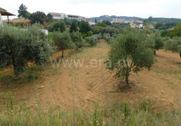 Helårsgrund i Fundao, Castelo Branco, Fundao - € 17.500 | Ref: 255190222 - foto 1