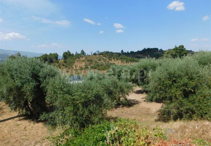 Helårsgrund i Fundao, Castelo Branco, Fundao - € 49.000 | Ref: 255200164 - foto 1