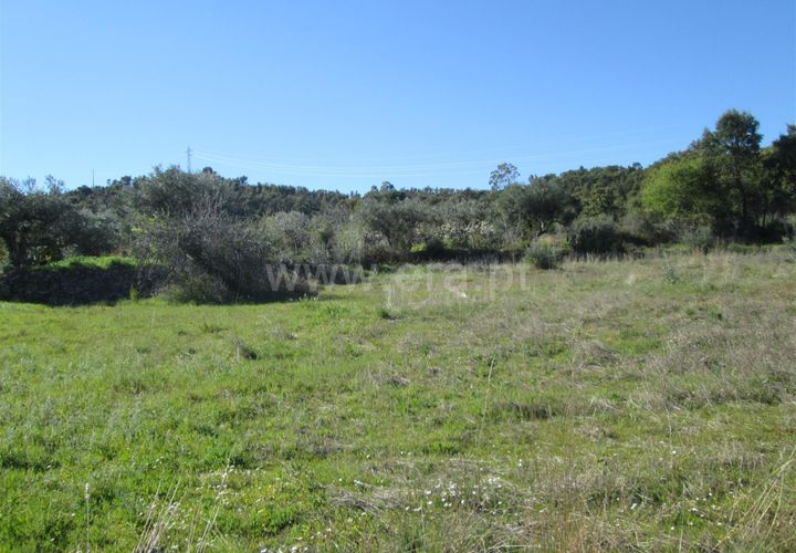 Tomt i Fundao, Castelo Branco, Fundao - € 24 000 | Ref: 255190059 - foto 1