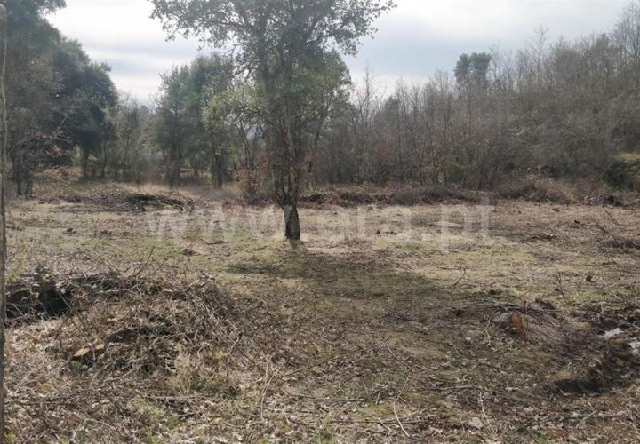 Helårsgrund i Fundao, Castelo Branco, Fundao - € 11.000 | Ref: 255220051 - foto 1
