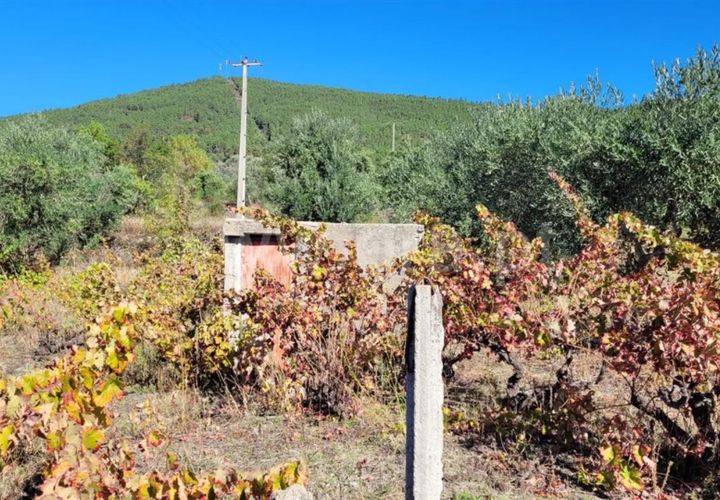 Helårsgrund i Fundao, Castelo Branco, Fundao - € 27.500 | Ref: 255220151 - foto 1