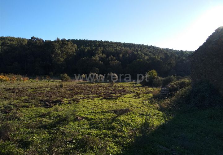 Helårsgrund i Fundao, Castelo Branco, Fundao - € 34.000 | Ref: 255220179 - foto 1