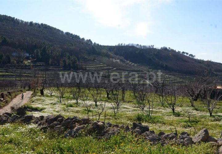 Tomt i Fundao, Castelo Branco, Fundao - € 47 500 | Ref: 255210045 - foto 1