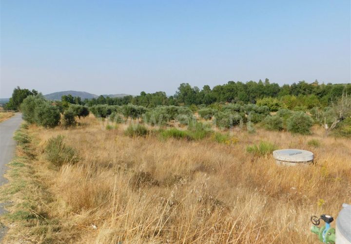 Helårsgrund i Fundao, Castelo Branco, Fundao - € 8.000 | Ref: 255170249 - foto 1