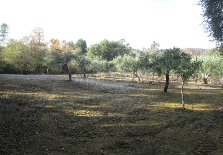 Helårsgrund i Fundao, Castelo Branco, Fundao - € 22.500 | Ref: 255170284 - foto 1