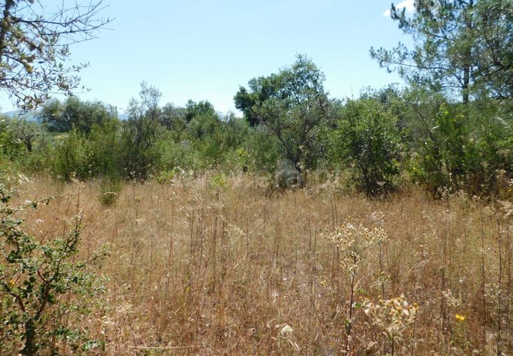Helårsgrund i Fundao, Castelo Branco, Fundao - € 10.000 | Ref: 255210080 - foto 1