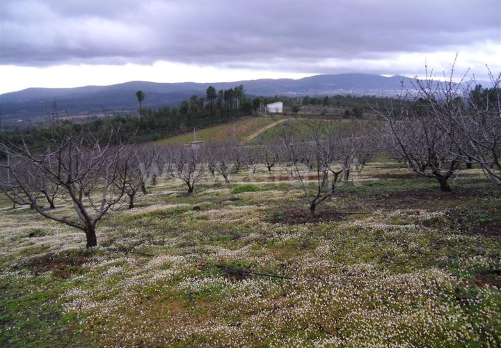 Helårsgrund i Fundao, Castelo Branco, Fundao - € 47.500 | Ref: 255230053 - foto 1