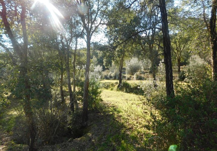 Helårsgrund i Fundao, Castelo Branco, Fundao - € 24.500 | Ref: 255230030 - foto 1