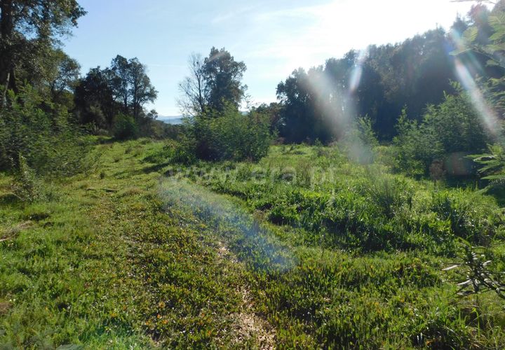 Tomt i Fundao, Castelo Branco, Fundao - € 37 500 | Ref: 255230008 - foto 1