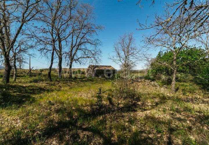 Helårsgrund i Fundao, Castelo Branco, Fundao - € 59.000 | Ref: 255230082 - foto 1