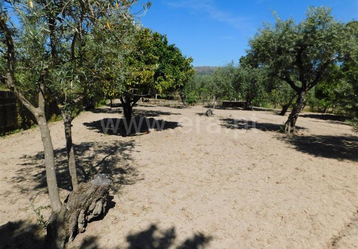 Tomt i Fundao, Castelo Branco, Fundao - € 37 500 | Ref: 255230098 - foto 1