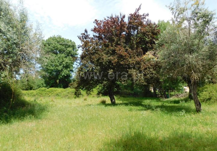 Tomt i Fundao, Castelo Branco, Fundao - € 6 800 | Ref: 255230109 - foto 1