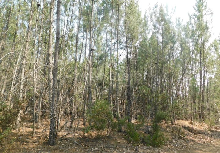 Helårsgrund i Covilha, Castelo Branco, Covilha - € 11.900 | Ref: 255230139 - foto 1