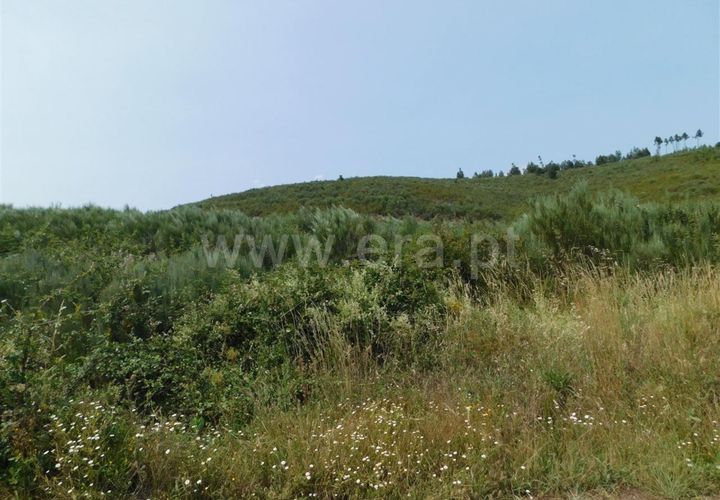 Helårsgrund i Covilha, Castelo Branco, Covilha - € 39.500 | Ref: 255230142 - foto 1