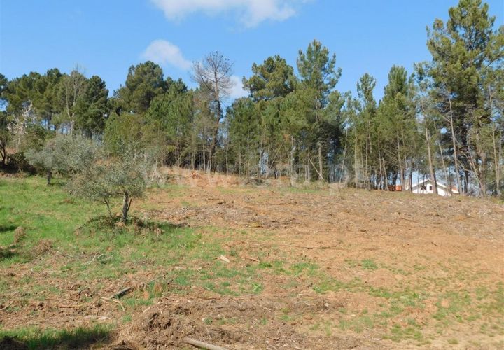 Helårsgrund i Fundao, Castelo Branco, Fundao - € 40.000 | Ref: 255230081 - foto 1
