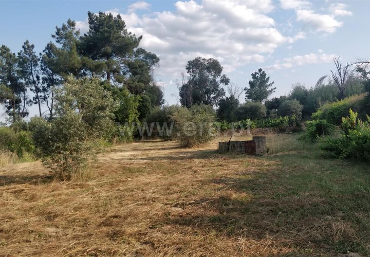 Helårsgrund i Fundao, Castelo Branco, Fundao - € 17.500 | Ref: 255230147 - foto 1