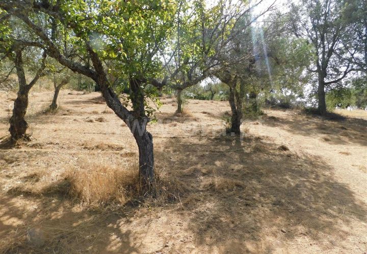 Tomt i Fundao, Castelo Branco, Fundao - € 10 000 | Ref: 255230178 - foto 1