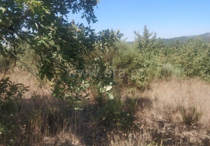 Helårsgrund i Fundao, Castelo Branco, Fundao - € 9.000 | Ref: 255230191 - foto 1