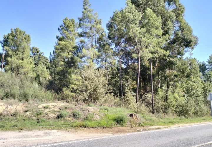 Helårsgrund i Fundao, Castelo Branco, Fundao - € 10.000 | Ref: 255230193 - foto 1
