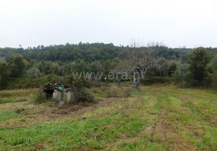 Tomt i Fundao, Castelo Branco, Fundao - € 42 500 | Ref: 255230230 - foto 1