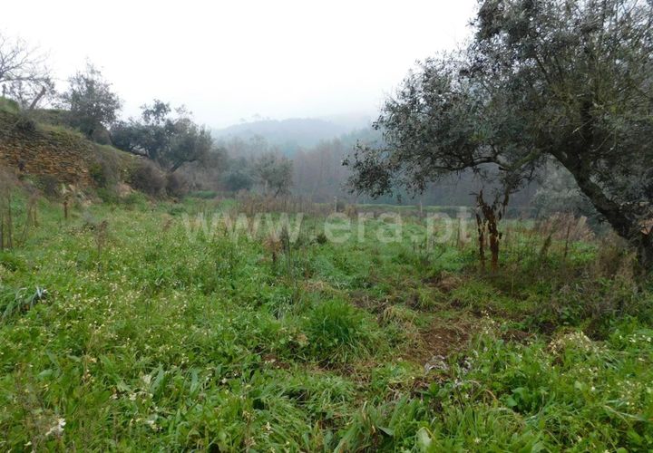 Helårsgrund i Fundao, Castelo Branco, Fundao - € 19.500 | Ref: 255230234 - foto 1