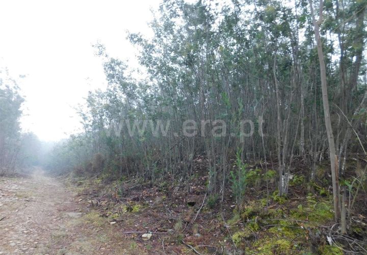Helårsgrund i Fundao, Castelo Branco, Fundao - € 9.500 | Ref: 255230233 - foto 1