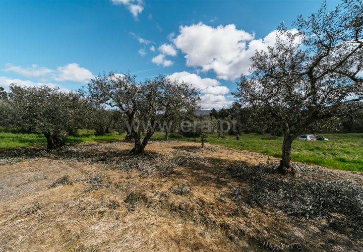 Tomt i Fundao, Castelo Branco, Fundao - € 13 200 | Ref: 255230218 - foto 1