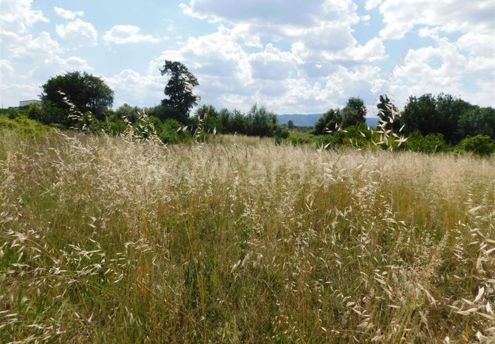 Helårsgrund i Fundao, Castelo Branco, Fundao - € 12.500 | Ref: 255230129 - foto 1