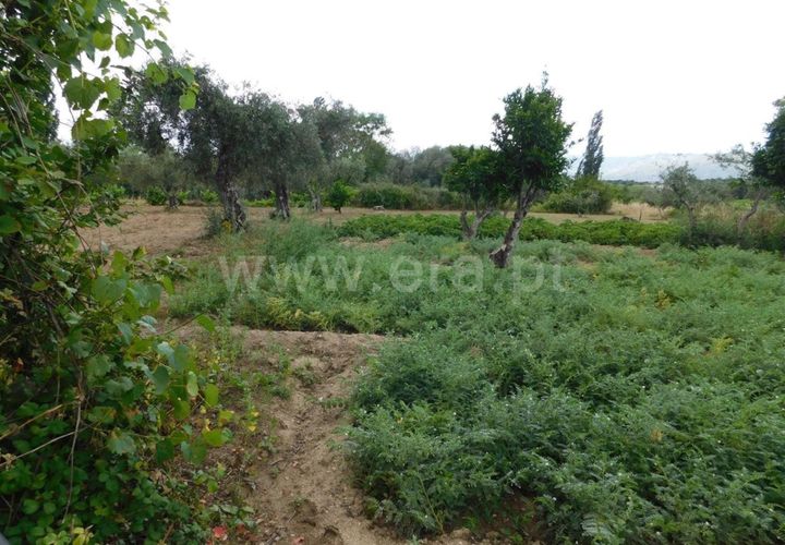 Tomt i Fundao, Castelo Branco, Fundao - € 12 500 | Ref: 255230130 - foto 1