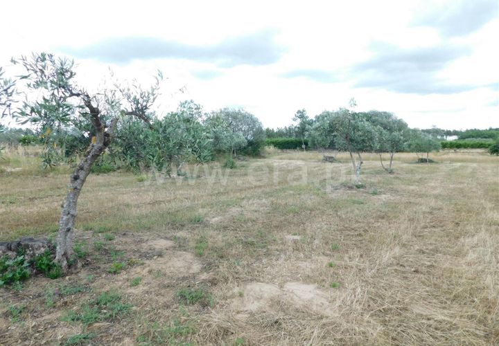 Helårsgrund i Fundao, Castelo Branco, Fundao - € 12.500 | Ref: 255230128 - foto 1