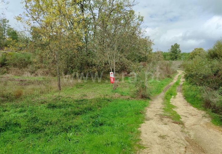 Helårsgrund i Fundao, Castelo Branco, Fundao - € 43.500 | Ref: 255230207 - foto 1