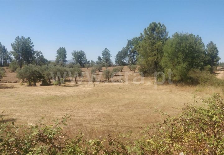 Helårsgrund i Fundao, Castelo Branco, Fundao - € 15.000 | Ref: 255230175 - foto 1