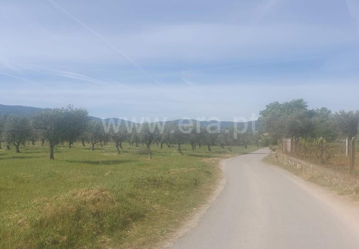 Tomt i Fundao, Castelo Branco, Fundao - € 49 000 | Ref: 255240095 - foto 1