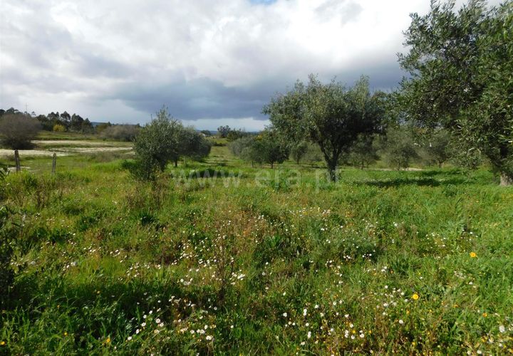 Landejendom i Fundao, Castelo Branco, Fundao - € 29.500 | Ref: 255240068 - foto 1