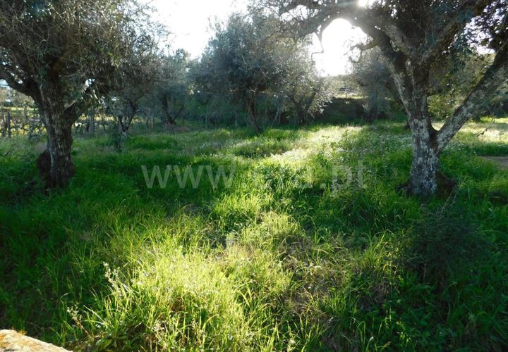 Helårsgrund i Fundao, Castelo Branco, Fundao - € 8.000 | Ref: 255240045 - foto 1