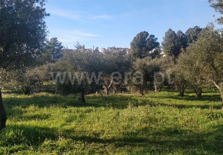 Tomt i Covilha, Castelo Branco, Covilha - € 57 500 | Ref: 255240023 - foto 1