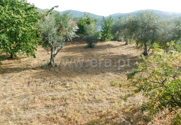 Landejendom i Fundao, Castelo Branco, Fundao - € 52.500 | Ref: 255230172 - foto 1