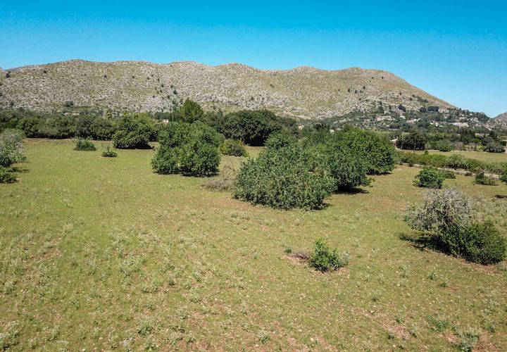 Tomt i Pollenca, Mallorca, Pollenca - € 1 300 000 | Ref: POL0619PTP0 - foto 1